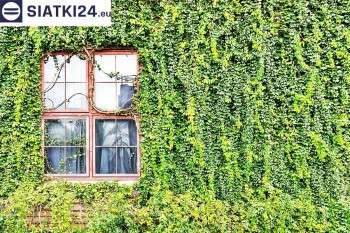 Siatki Stalowa Wola - Siatka z dużym oczkiem - wsparcie dla roślin pnących na altance, domu i garażu dla terenów Stalowej Woli